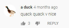 quack quack